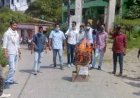 ड्रग्स मामला : एनएसयूआई ने परिसर निदेशक व डीएसडब्लू का फूंका पुतला  