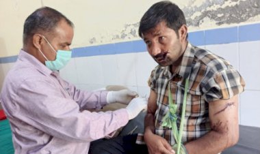 थराली: भालू के हमले में युवक गंभीर रूप से घायल, हायर सेंटर रेफर