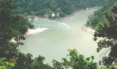 पंचेश्वर बांध में डूबेंगे इतने लाख पेड़, वन विभाग ने पूरी की गिनती