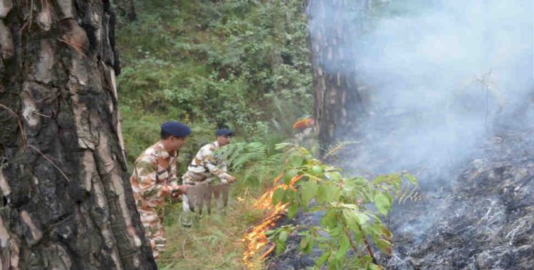 आईटीबीपी के जवानों ने बुझाई जंगल में लगी आग