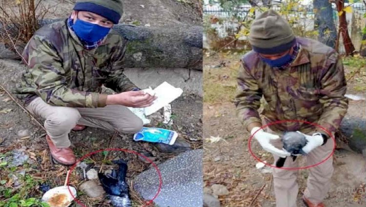 उत्तराखंड: यहां SSP कार्यालय परिसर में मरे मिले दो कौए, मचा हड़कंप