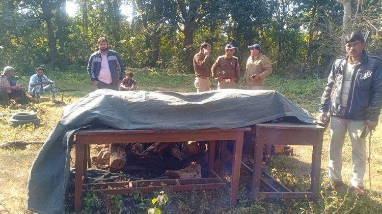 बड़ी खबर: उत्तराखंड में कार की टक्कर से बाघ की मौत