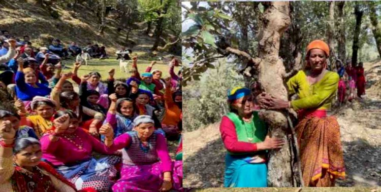 उत्तराखंड में यहां अंगड़ाई ले रहा है चिपको आंदोलन, संकल्प वही जो गौरा देवी का रहा था