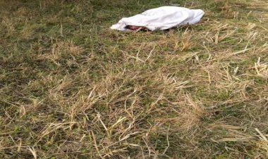 गढ़वाल: जंगल में शिकार करने गए पांच युवाओं में से चार की रहस्यमय मौत, एक लापता