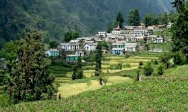खुद के नियम बना उत्तराखंड के इस गांव ने दी कोरोना को मात, एक भी केस नहीं मिला