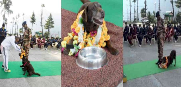 ITBP में 11 साल की सर्विस के बाद रिटायर हुई चोको, सम्मान के साथ दी गई सेवा से विदाई