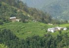 देवाल: कलपट्टा-ग्वीला मोटर रोड स्वीकृत, प्रमुख -पंचायत प्रतिनिधयों ने जताया सीएम, लोनिवि मंत्री का आभार