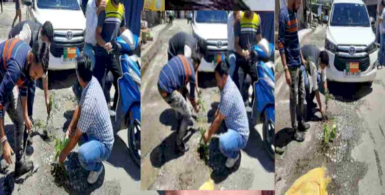देवाल:  गड्ढे नहीं भरे तो विधायक की कार के आगे सड़क पर ही रोप दिए पौधे