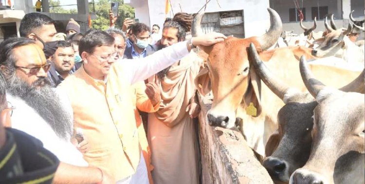 गोपाष्टमी महोत्सव में शामिल हुये सीएम धामी, करोड़ों की लागत वाली योजनाओं का किया लोकार्पण और शिलान्यास