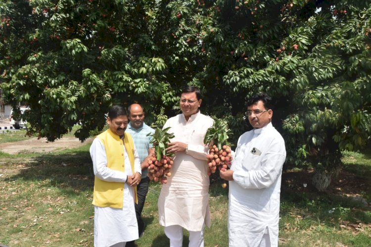 मुख्यमंत्री आवास परिसर में लगे पेड़ों का सीएम ने किया निरीक्षण