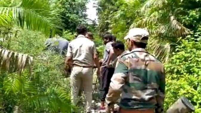 झपट्टा मार कर बाइक सवार युवक को उठा ले गया बाघ