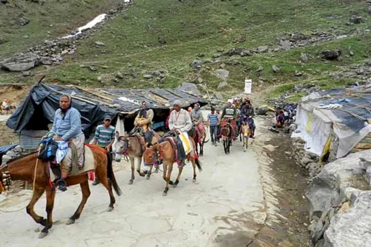केदारनाथ और यमनोत्री में घोड़ा-खच्चर, हेली और डंडी-कंडी से 211 करोड़ का कारोबार