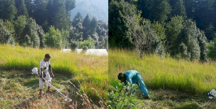 घास काटने की मशीन से महिलाओं के जीवन में आया नया सवेरा