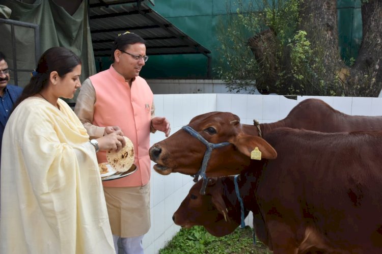 सीएम ने किया देवउठनी एकादशी के अवसर पर तुलसी पूजन