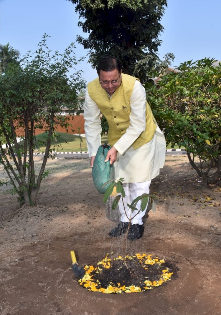 सीएम ने आवास में लगाया राज्य वृक्ष बुरांश