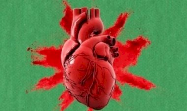 क्रिसमस हार्ट सिंड्रोम है जानलेवा बीमारी! इन उपायों से रहें फिट