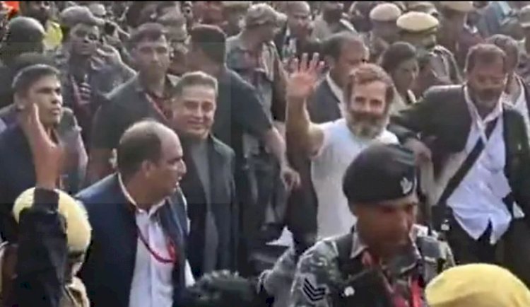 अभिनेता कमल हासन दिल्ली में गांधी परिवार के साथ भारत जोड़ो यात्रा में हुए शामिल