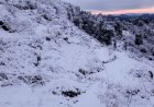 बर्फबारी से गुलजार हुईं उत्तराखंड की पहाड़ियां