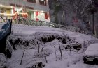 उत्तराखंड:औली बर्फबारी से सरोबार, पर्यटकों के चेहरे खिले