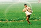 केंद्र सरकार ने किया साफ, कृषि आय पर कर लगाने की कोई योजना नहीं