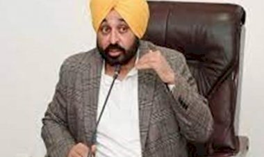 पंजाबी भाषा को प्रमोट करने के लिए मान सरकार का बड़ा कदम