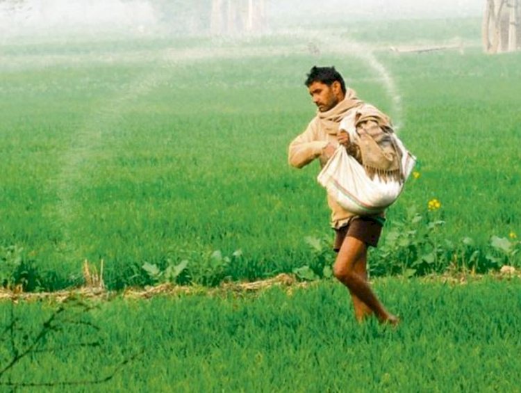 केंद्र सरकार ने किया साफ, कृषि आय पर कर लगाने की कोई योजना नहीं
