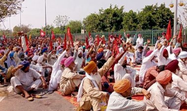 संगरूर जिले के 16580 अपात्र राशन कार्ड धारक रडार पर, कार्रवाई की संभावना