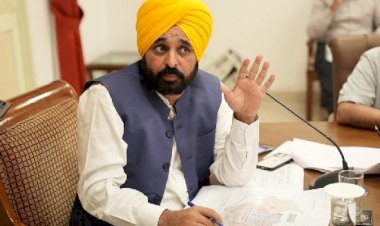 पंजाब किसानों के लिए बड़ी राहत, मुख्यमंत्री मान द्वारा खराब फसल के  मुआवज़े में 25 प्रतिशत वृद्धि का ऐलान