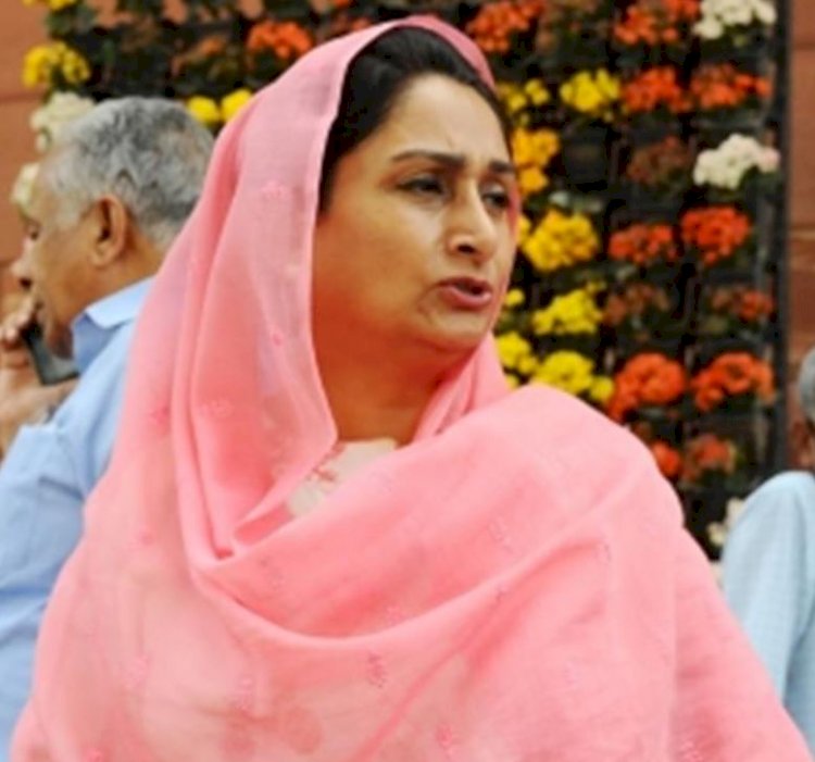 पंजाब की स्थिति के लिए केंद्र, राज्य सरकारें जिम्मेदार: हरसिमरत कौर बादल