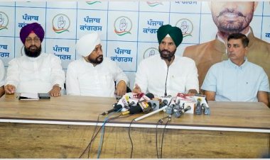 सतर्कता कार्रवाई विशुद्ध रूप से आप के झूठ का पर्दाफाश करने वाले विपक्ष की आवाज को दबाने के लिए है :राजा वारिंग