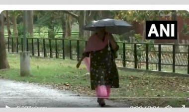 पंजाब, चंडीगढ़ के कुछ हिस्सों में गरज के साथ बारिश के ताजा दौर