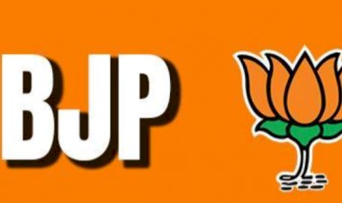 पंजाब भाजपा प्रदेश कार्यकारिणी का ऐलान :169 सदस्य, 23 स्थायी और 80 विशेष सदस्य शामिल