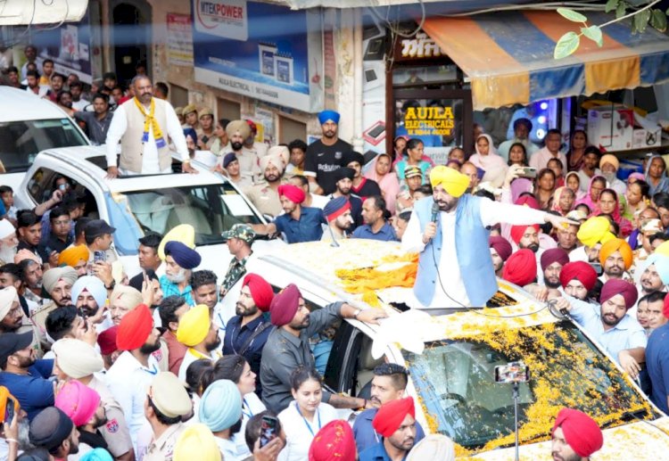 हमने पंजाब में भ्रष्टाचार और माफिया खत्म किया, पिछली सरकारें उन्हें संरक्षण देती थी - मान