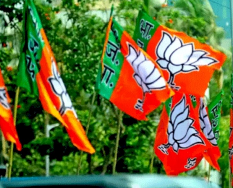 अदालत के जमानत आदेश को गुमराह कर पेश कर रही ‘आप’: भाजपा
