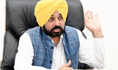 पंजाब लुधियाना और जालंधर में ई-वाहन सेवा, अमृतसर में ई-ऑटो शुरू करेगा: सीएम मान