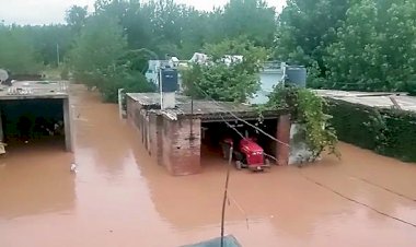 अकाल तख्त, एसजीपीसी ने बाढ़ प्रभावितों को मदद की पेशकश की