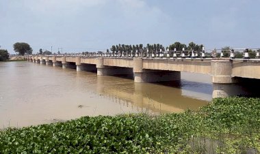 पंजाब सरकार ने  बीबीएमबी से कहा: हरियाणा, राजस्थान अतिरिक्त पानी सोखने को तैयार नहीं