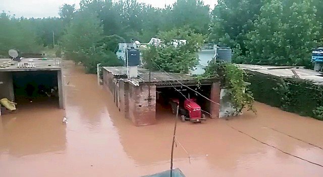 अकाल तख्त, एसजीपीसी ने बाढ़ प्रभावितों को मदद की पेशकश की