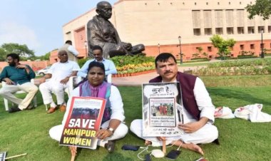 संसद में आप ही असली विपक्ष का चेहरा बना