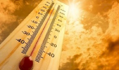 अमेरिका: अत्यधिक गर्मी से 5 काउंटी में 147 लोगों की मौत