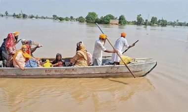 मॉनसून का प्रकोप: 22 हजार से अधिक बाढ़ग्रस्त; फाजिल्का, फिरोजपुर, तरनतारन सबसे ज्यादा प्रभावित