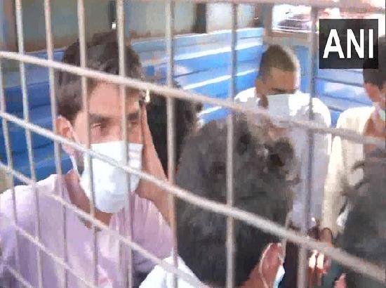 नूंह हिंसा: 6 अलग-अलग मामलों में 23 कथित आरोपियों को अदालत में पेश किया गया