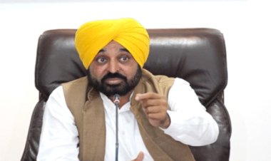 मान सरकार का बड़ा एक्शन, सिख बुजुर्ग की पिटाई करने वाला पुलिस अधिकारी सस्पेंड