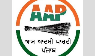 AAP ने डॉ. सनी अहलूवालिया को चंडीगढ़ का सह-प्रभारी और रंजोध हदाना को पंजाब का राज्य सचिव नियुक्त किया