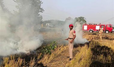 पंजाब में पराली जलाने के खिलाफ कार्रवाई के बाद खेतों में आग लगने की घटनाओं में भारी गिरावट देखी गई; 251 एफआईआर दर्ज
