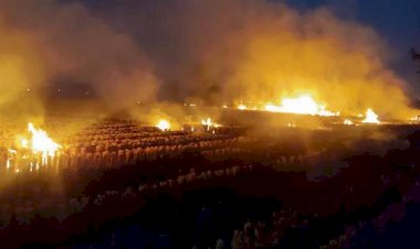 स्मॉग टावर, 'ऑड-ईवन' नियम प्रदूषण का समाधान नहीं: आईआईएसईआर-मोहाली विशेषज्ञ