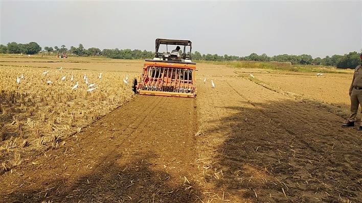 राज्य भर में 87% धान की कटाई, 17.56 मीट्रिक टन फसल अवशेष उत्पन्न