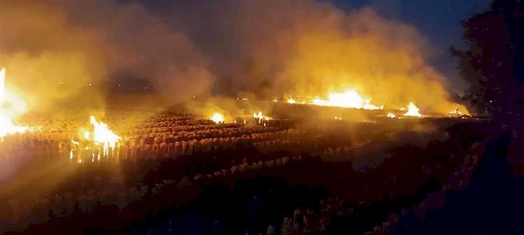 स्मॉग टावर, 'ऑड-ईवन' नियम प्रदूषण का समाधान नहीं: आईआईएसईआर-मोहाली विशेषज्ञ