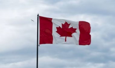 कनाडा: पंजाबी छात्रों को झटका, आवास मंत्री ने किया बड़ा ऐलान...