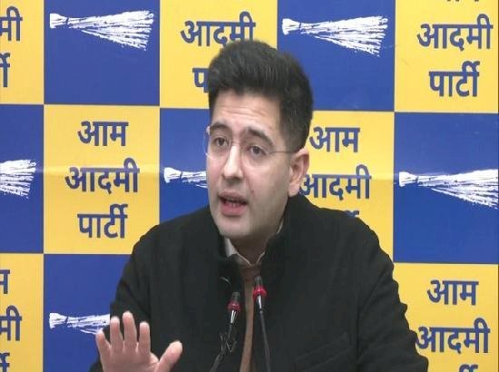 चंडीगढ़ मेयर चुनाव रखेगा लोकसभा चुनाव की नींव : राघव चड्ढा